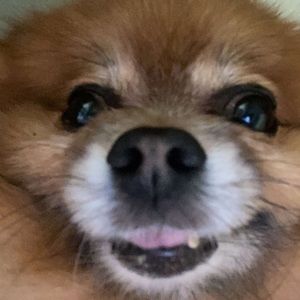 Meet your Posher, Kathia